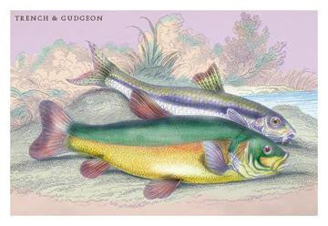 Trench and Gudgeon 12x18 Giclee on canvas