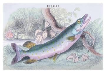 The Pike 12x18 Giclee on canvas