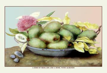 A Dish of Medlars  a Rose  and Almonds 12x18 Giclee on canvas