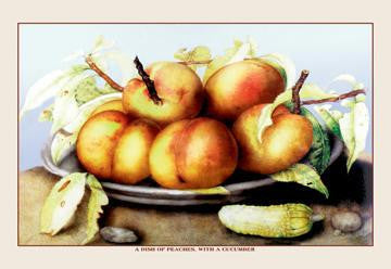 A Dish of Peaches with a Cucumber 12x18 Giclee on canvas