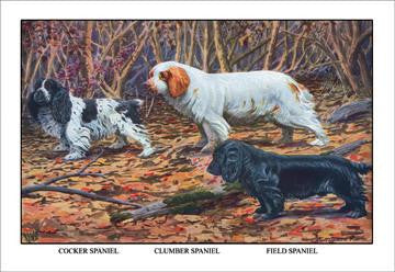 Cocker Spaniel  Clumber Spaniel  and Field Spaniel 12x18 Giclee on canvas