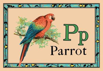 Parrot 12x18 Giclee on canvas