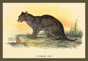 Fishing Cat 12x18 Giclee on canvas