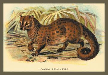 Common Palm Civet 12x18 Giclee on canvas