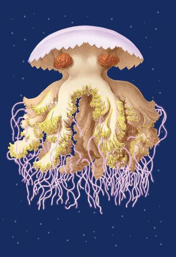 Astro-Jellyfish 12x18 Giclee on canvas