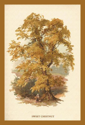 Sweet Chestnut 12x18 Giclee on canvas