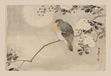 Bird and Cherry Blossoms 12x18 Giclee on canvas