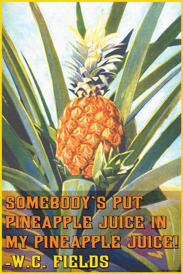 Somebody put Pineapple juice in my pineapple juice 12x18 Giclee on canvas