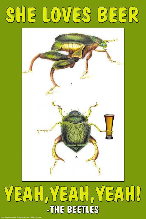 She Loves Beer  yeah  yeah  yeah - The Beetles 12x18 Giclee on canvas