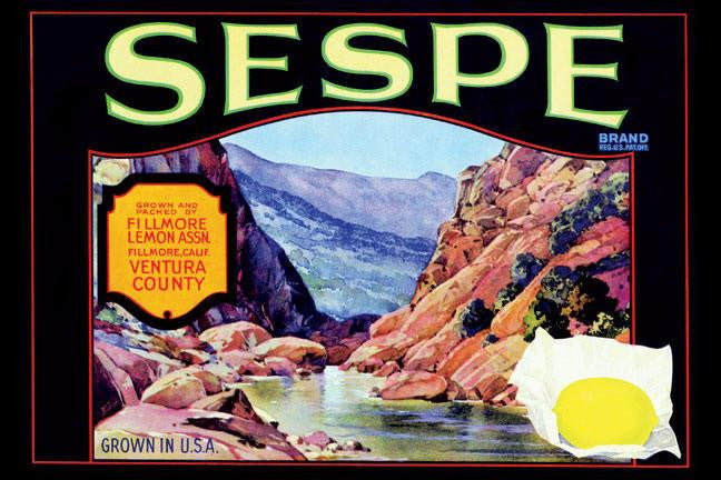 Sespe Brand Lemons 12x18 Giclee on canvas