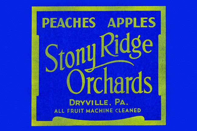 Stony Ridge Orchards Peaches & Apples 12x18 Giclee on canvas