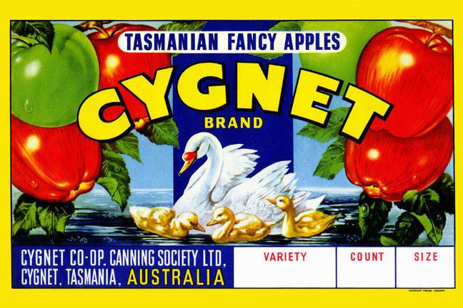 Cygnet Tasmanian Fancy Apples 12x18 Giclee on canvas