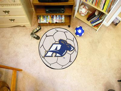 University of Akron Soccer Ball Rug