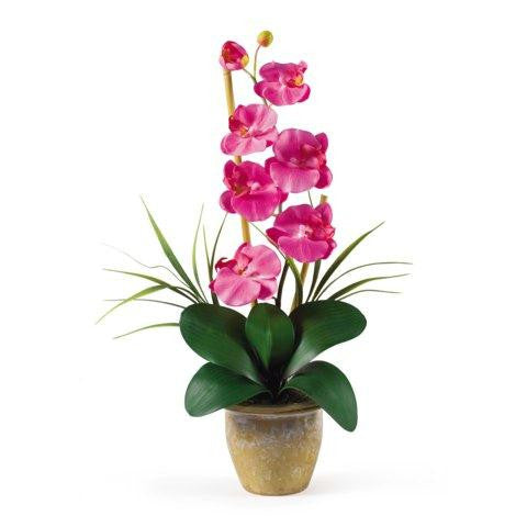 Dark Pink Single Stem Phalaenopsis Silk Orchid Arrangement