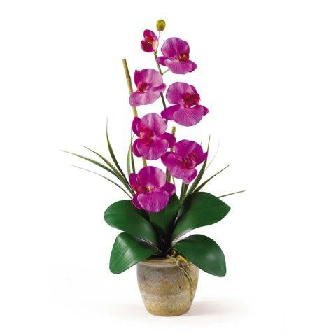 Orchid Single Stem Phalaenopsis Silk Orchid Arrangement