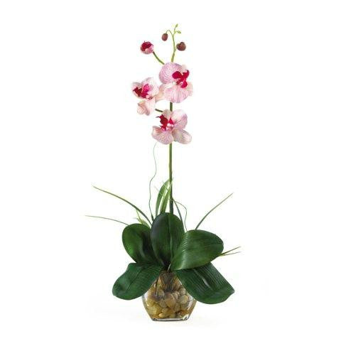 Pink White Mini Phalaenopsis Liquid Illusion Silk Orchid Arrangement