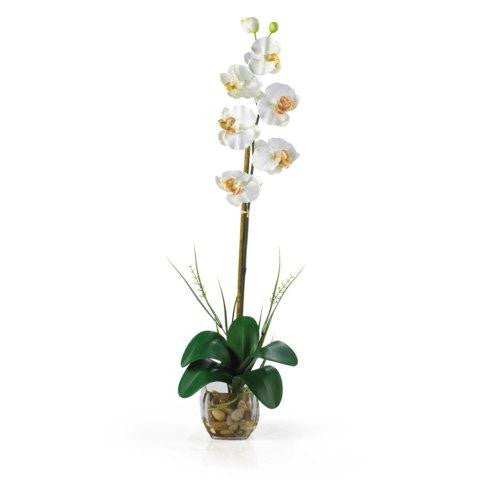 Cream Single Phalaenopsis Liquid Illusion Silk Flower Arrangement