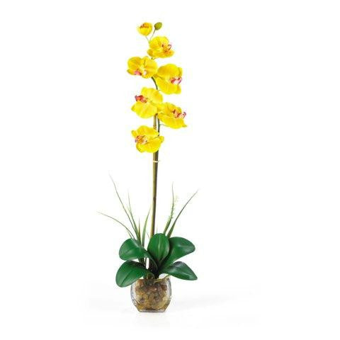 Yellow Single Phalaenopsis Liquid Illusion Silk Flower Arrangement