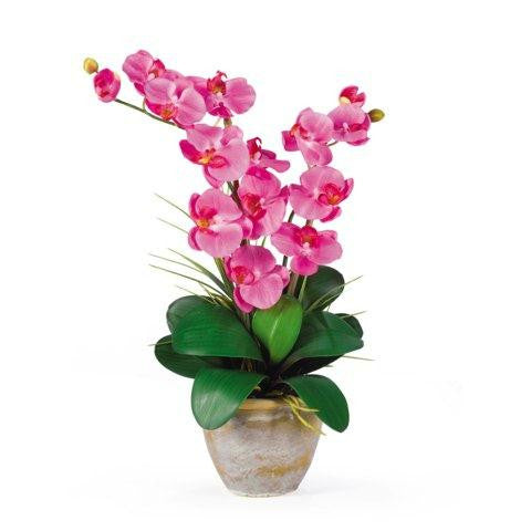 Dark Pink Double Stem Phalaenopsis Silk Orchid Arrangement