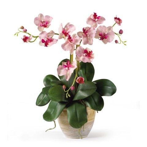 Pink White Triple Mini Phalenopsis Silk Orchid Arrangement