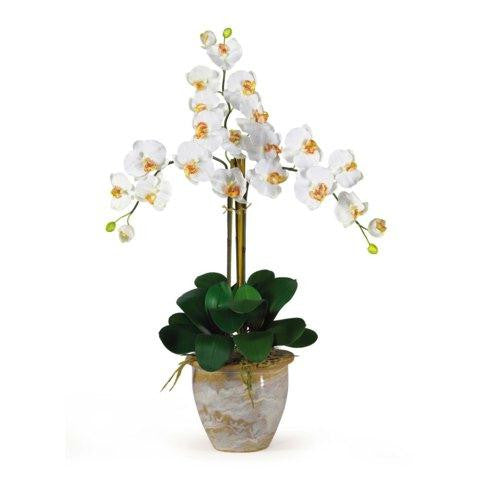 Cream Triple Stem Phalaenopsis Silk Orchid Arrangement