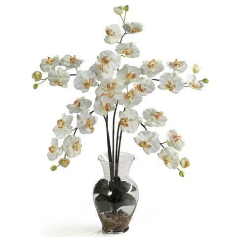 Cream Phalaenopsis Liquid Illusion Silk Flower Arrangement