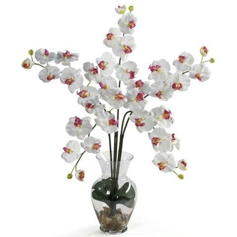 White Phalaenopsis Liquid Illusion Silk Flower Arrangement