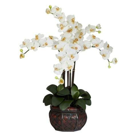 Cream Phalaenopsis w-Decorative Vase Silk Flower Arrangement