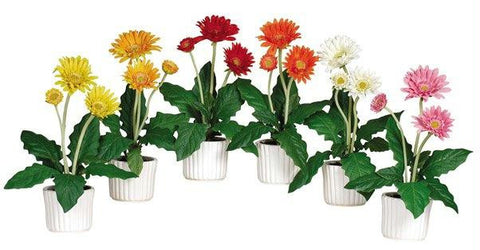 Gerber Daisy w-White Vase (Set of 6)