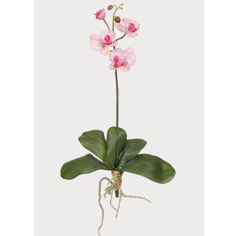 White Pink Mini Phalaenopsis Silk Orchid Flower w-Leaves (6 Stems)