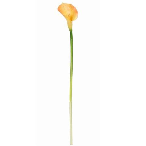 Gold   Calla Lilly Silk Flower (12 Stems)