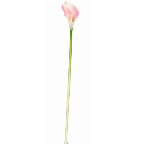 Dark Pink Calla Lilly Silk Flower (12 Stems)