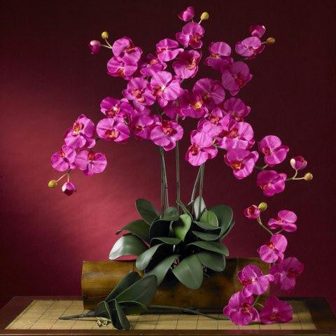 Beauty Phalaenopsis Silk Orchid Flower w-Leaves (6 Stems)