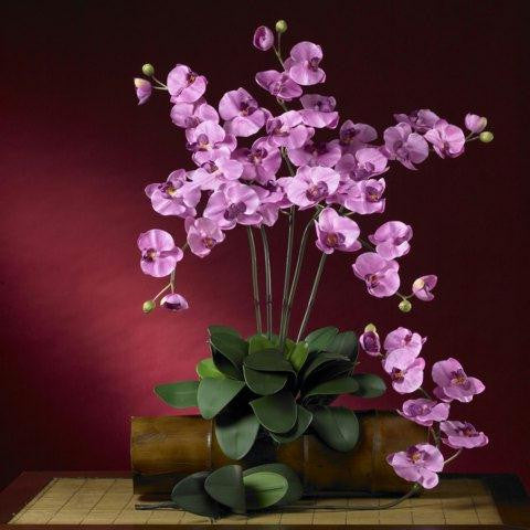 Mauve Phalaenopsis Silk Orchid Flower w-Leaves (6 Stems)