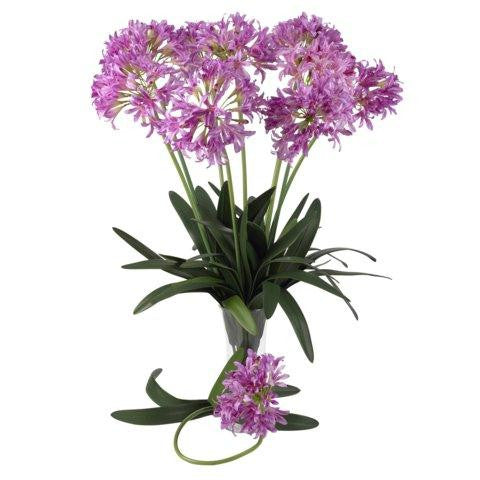 Pink 29 Inch African Lily Stem (Set of 12)