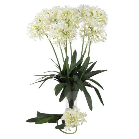 White 29 Inch African Lily Stem (Set of 12)