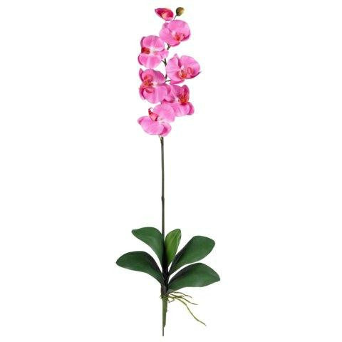 Dark Pink Phalaenopsis Stem (Set of 12)