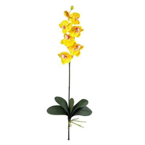 Gold Phalaenopsis Stem (Set of 12)