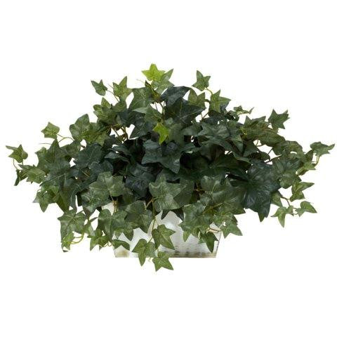 Ivy w-White Wash Planter Silk Plant