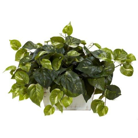 Pothos w-White Wash Planter Silk Plant