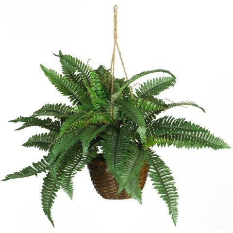 Boston Fern Silk Hanging Basket