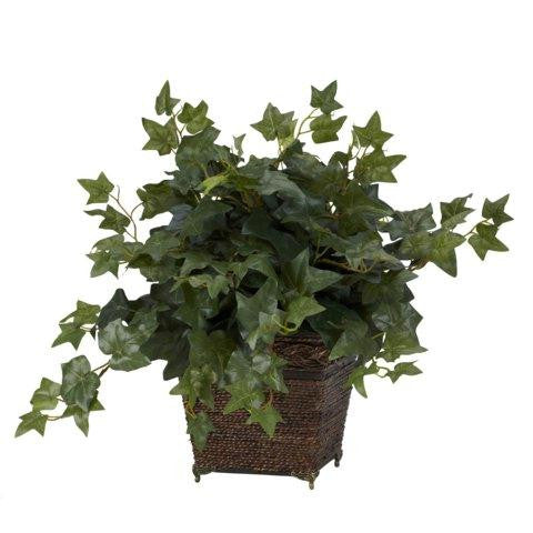 Puff Ivy w-Coiled Rope Planter Silk Plant