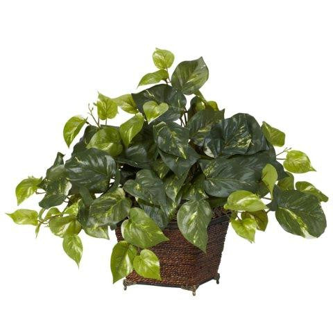 Pothos w-Coiled Rope Planter Silk Plant