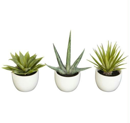 Southwest Collection (Set of 3)