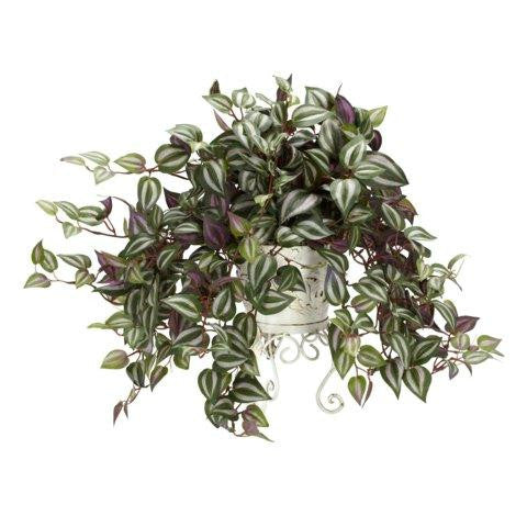 Wandering Jew w-Metal Planter Silk Plant