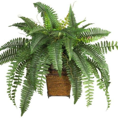 Boston Fern w-Wood Wicker Basket Silk Plant