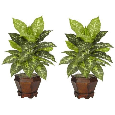 Variegated Dieffenbachia w-Wood Vase Silk Plant (Set of 2)