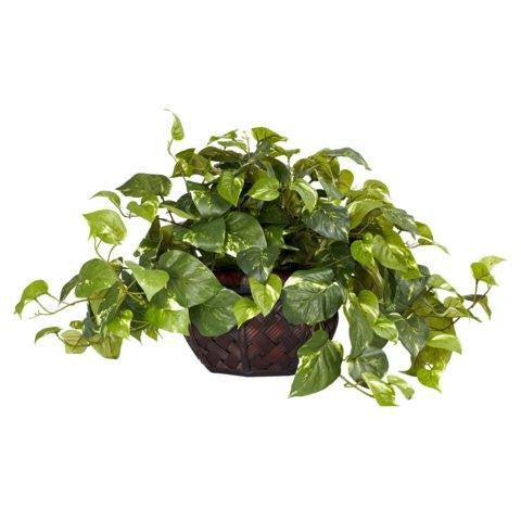 Pothos w-Decorative Vase Silk Plant