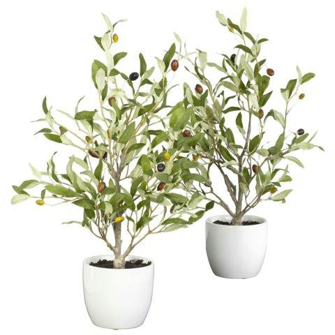 18 Inch Olive Silk Tree w-Vase (Set of 2)