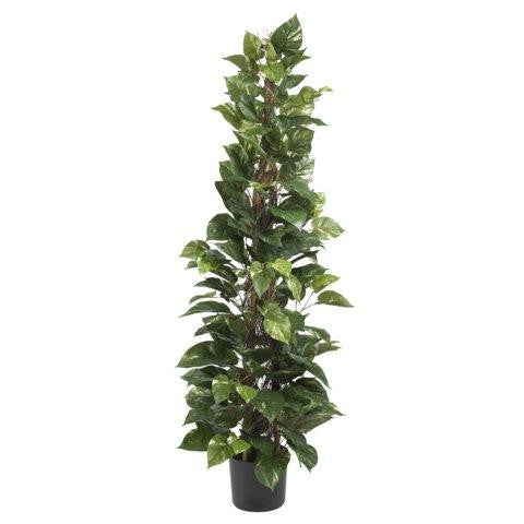 63 Inch Pothos Climbing Silk Plant